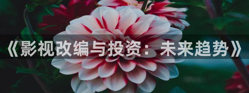桔子影视电影网：《影视改编与投资：未来趋势》