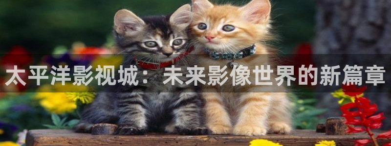 桔子影院免费入口：太平洋影视城：未来影像世界的新篇章