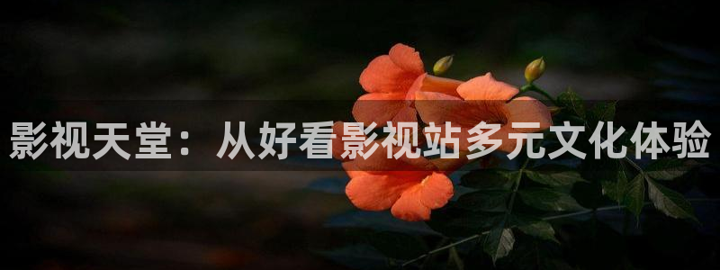 桔子视频怎么下载视频：影视天堂：从好看影视站多元文化体验