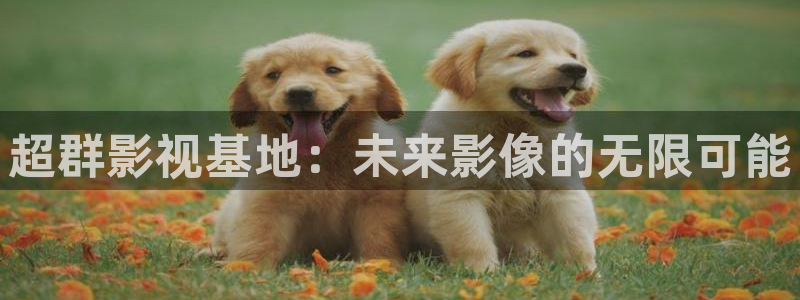 桔子在线影院免费播放电视剧大全