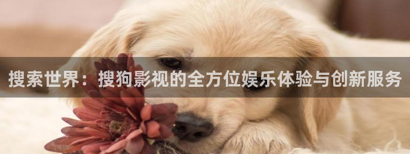 冰糖桔子的做法视频：搜索世界：搜狗影视的全方位娱乐体验与创新服务