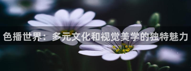 桔子照片：色播世界：多元文化和视觉美学的独特魅力