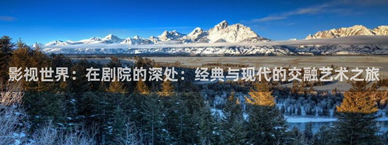 桔子的天空电影播放：影视世界：在剧院的深处：经典与现代的交融艺术之旅