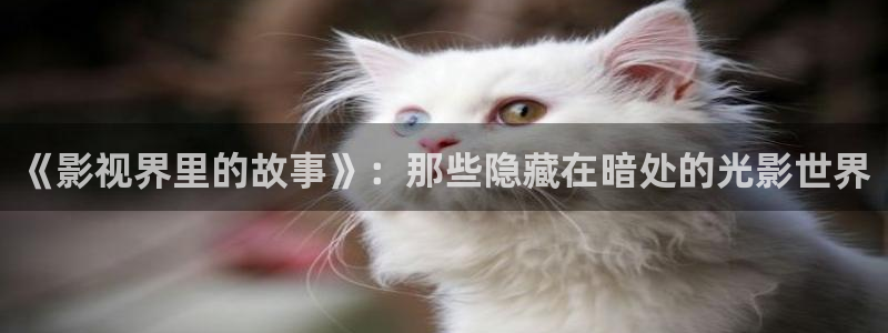 桔子影音：《影视界里的故事》：那些隐藏在暗处的光影世界