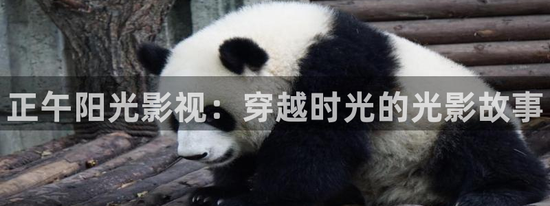 橘子桔子橙子：正午阳光影视：穿越时光的光影故事